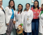 ‘Cãoterapeuta’ faz visita especial para crianças internadas em hospital