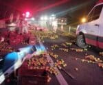 Motorista fica ferido após caminhão de frutas tombar na BR-101