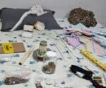 Homem é preso pela PF por enviar drogas pelos Correios no ES