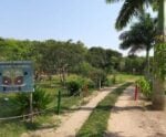 Parque de Itapemirim é interditado após presença de carrapato-estrela