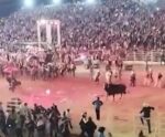 Touro invade arena e assusta público que esperava show de Ana Castela