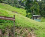 148 pássaros foram soltos em reserva natural nesta sexta-feira (29)