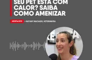 Seu pet está com calor? Saiba como amenizar