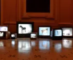 Museu de Arte do Espírito Santo celebra aniversário de 25 anos