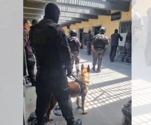 Mute: Governo do Estado participa da 2ª fase de operação nacional