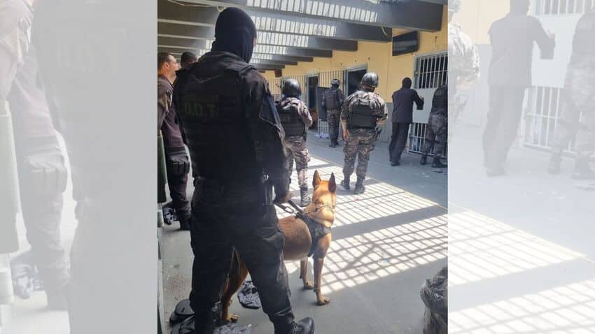 Foto: Divulgação Governo do Estado Foto: Divulgação Governo do Estado