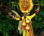 Carnaval de Vitória: Saiba onde comprar fantasias para desfilar
