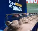 CBF confirma para quarta (17) sorteio dos jogos da terceira fase da Copa do Brasil