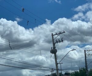 Alerta: EDP reforça os cuidados com pipas perto da rede elétrica