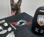 Cadela K-9 Alga realiza buscas e apreende drogas em Guaçuí