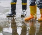 Leptospirose: chuvas e alagamentos aumentam o risco de contrair a doença