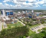 Suzano quer investir US$ 100 mi em Pesquisa para a Sustentabilidade