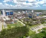 Suzano quer investir US$ 100 mi em Pesquisa para a Sustentabilidade