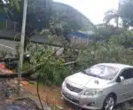Quem paga a conta das tempestades? Advogado explica como ser ressarcido