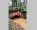 BR-262: galeria fluvial cede após chuva em Venda Nova