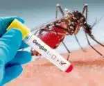 Brasil já registrou 75 mortes por dengue e mais de 500 mil casos em 2024