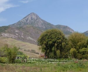 Nova rota turística deve projetar turismo no Sul do Estado O Parque Estadual do Forno Grande fica no interior de Castelo