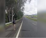 Curioso! PRF ajuda jiboia a “atravessar” rodovia; veja o vídeo