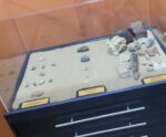 Porto Central doa achados arqueológicos para exposição em Museu do ES