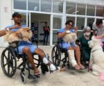 Hospital do Espírito Santo inicia projeto ‘Cão Terapia’; entenda como funciona