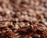 Brasileiros consumiram mais de 1 mi de sacas de 60 kg de café solúvel