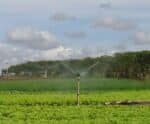 Irrigação: estratégias para uso racional de água na agricultura