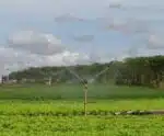 Irrigação: estratégias para uso racional de água na agricultura