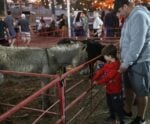 Edição 2024 da Exposul Rural será realizada em abril