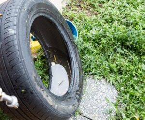 Combate à dengue: pneu com acumulo de água