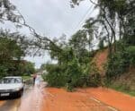 Chuvas: trecho em Iúna é interditado após queda de barreira
