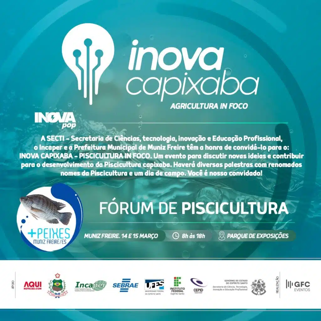 Arte de Divulgação do Inova