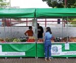 Novas barracas: feiras agrícolas de Cachoeiro passam por reestruturação