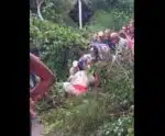 Muqui: árvore cai em rodovia, atinge moto e deixa mulher ferida
