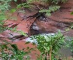 Três pessoas morrem após cabeça d’água atingir cachoeira; uma está desaparecida