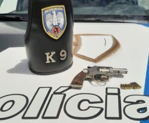 Polícia encontra arma usada na tentativa de homicídio em Alegre