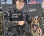 Cadela da Polícia Penal é usada para detectar dispositivos eletrônicos