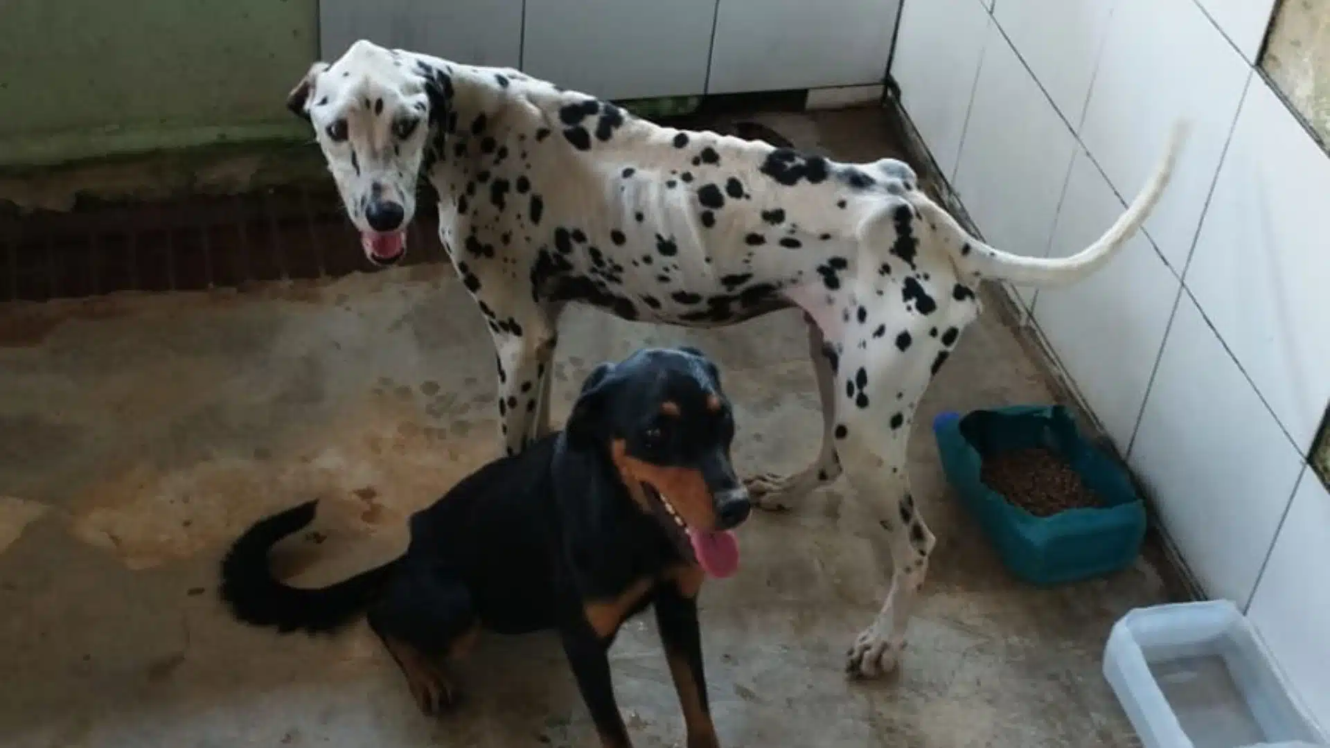 Mulher presa em Cachoeiro