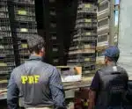 Operação no ES apreende 165 mil maços de cigarros contrabandeados