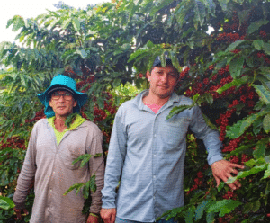 Veja como melhorar a produtividade em pequenas propriedades rurais Produtividade em pequenas propriedades rurais