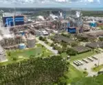 Dia da Água: empresa de celulose se destaca em preservação no ES