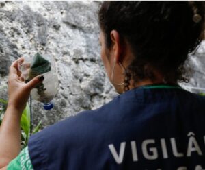 Casos de dengue no ES já são 45% do total de 2024 Agende de Endemias fazendo trabalho contra a dengue