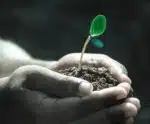 Feira Agro promete propulsão ao ecossistema agroflorestal em Alegre