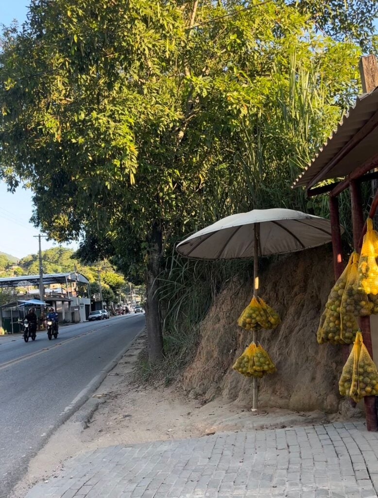 Jerônimo Monteiro, a Terra da Laranja