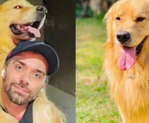 “Meu amor foi assassinado”: cão morre após erro em transporte aéreo Cão morre em transporte aéreo