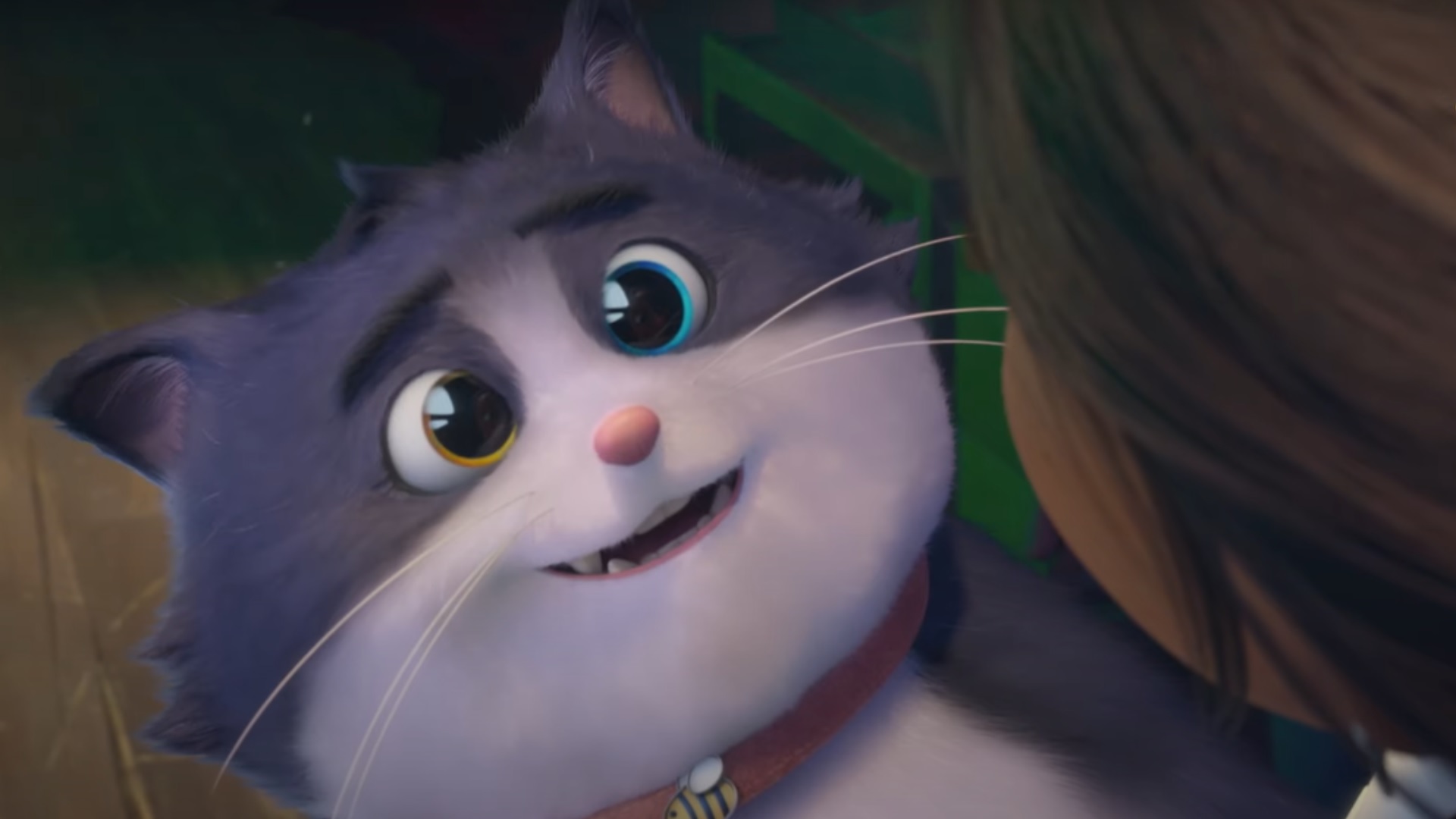Um gato de sorte