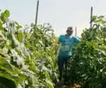 Prefeitura de Presidente Kennedy reforça compromisso com o homem do campo