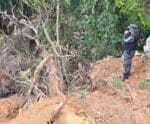 PM flagra desmatamento em área de vegetação nativa no Sul do Estado