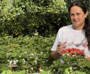 Conceição do Castelo desperta para agroturismo com rota diversificada Agroturismo em Conceição do Castelo