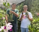 Família de Conceição do Castelo é destaque nacional em orquídeas