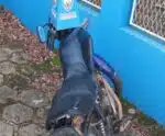Moto roubada é recuperada pela PM em Bom Jesus do Norte